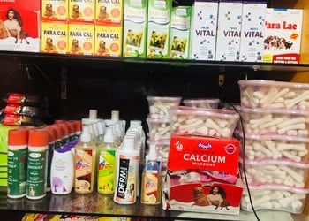 House-of-paw-Pet-stores-Allahabad-prayagraj-Uttar-pradesh-2