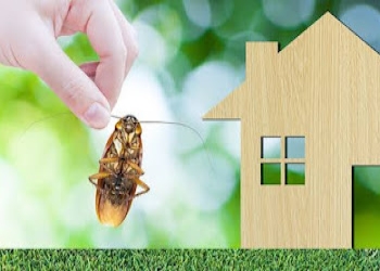 Hyderabad-pest-control-services-Pest-control-services-Hitech-city-hyderabad-Telangana-2