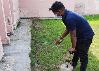 Icare-pest-control-service-Pest-control-services-Bhai-randhir-singh-nagar-ludhiana-Punjab-2