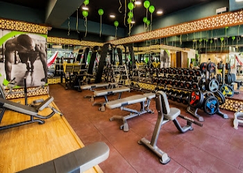 Iconic-fitness-koramangala-1st-block-Gym-Koramangala-bangalore-Karnataka-2