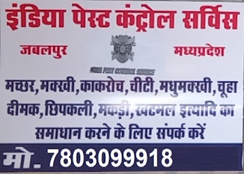 India-pest-control-service-Pest-control-services-Napier-town-jabalpur-Madhya-pradesh-1