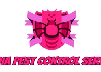 India-pest-control-service-Pest-control-services-Napier-town-jabalpur-Madhya-pradesh-2