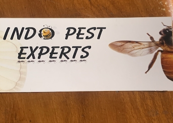 Indo-pest-experts-Pest-control-services-Mysore-Karnataka-1