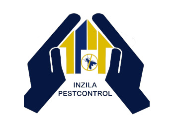 Inzila-pest-control-service-Pest-control-services-Doranda-ranchi-Jharkhand-1