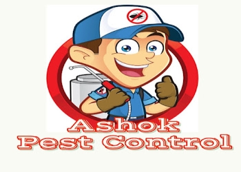 Ipca-mangaluru-pest-control-Pest-control-services-Hampankatta-mangalore-Karnataka-1