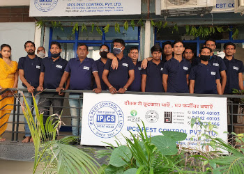 Ipcs-pest-control-pvt-ltd-Pest-control-services-Jaipur-Rajasthan-2