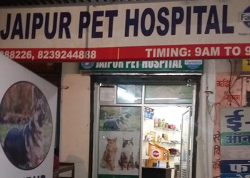 Jaipur-pet-hospital-Veterinary-hospitals-Jaipur-Rajasthan-1