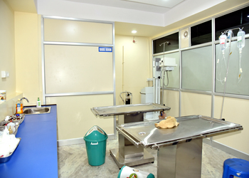 Jaipur-pet-hospital-Veterinary-hospitals-Jaipur-Rajasthan-3