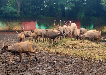 Jawahar-nehru-park-Public-parks-Bhilai-Chhattisgarh-3