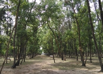 Jellingham-picnic-spot-Picnic-spots-Haldia-West-bengal-3