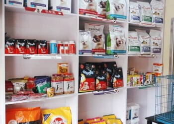 Kalinga-pet-shop-farm-Pet-stores-Morabadi-ranchi-Jharkhand-2