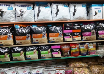 Kanika-pet-shop-Pet-stores-Faridabad-Haryana-2