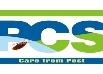 Ken-pest-control-services-Pest-control-services-Lalpur-ranchi-Jharkhand-1