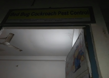 Kharude-pest-control-Pest-control-services-Worli-mumbai-Maharashtra-1