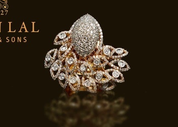 Kishan-lal-jewellers-and-sons-pvt-ltd-Jewellery-shops-Bikaner-Rajasthan-3