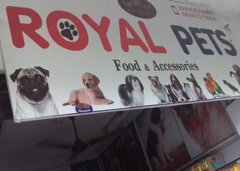 Krupa-nidhi-royal-pet-shop-Pet-stores-Kurnool-Andhra-pradesh-1