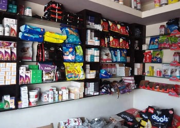 Leela-pet-shop-Pet-stores-Korba-Chhattisgarh-2