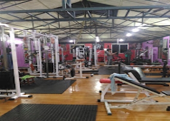 Life-aquatic-club-and-gym-Gym-Edappally-kochi-Kerala-1