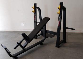 Lifeline-22-Gym-equipment-stores-Patiala-Punjab-2