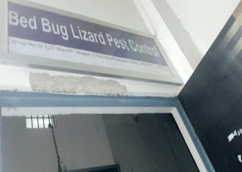 Lizard-pest-control-solutions-Pest-control-services-Wadala-mumbai-Maharashtra-2