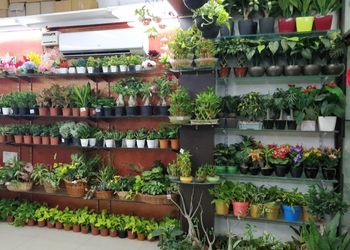 Lorea-Flower-shops-Hyderabad-Telangana-3