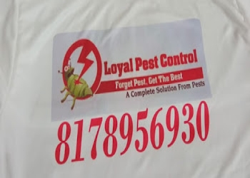 Loyal-pest-control-services-Pest-control-services-Okhla-delhi-Delhi-2