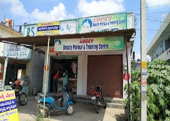 Lucky-beauty-parlour-training-center-Beauty-parlour-Kazipet-warangal-Telangana-1