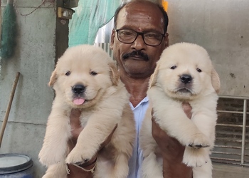 Macho-pet-zone-Pet-stores-Secunderabad-Telangana-1