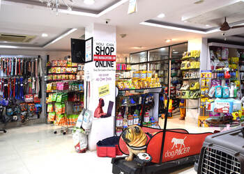 Marshalls-pet-zone-Pet-stores-Kondapalli-vijayawada-Andhra-pradesh-2