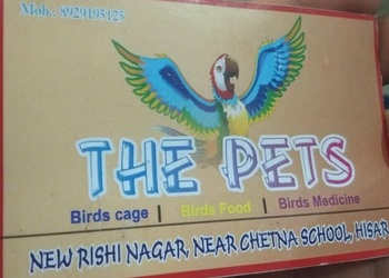 Mayank-sharma-pets-shop-Pet-stores-Hisar-Haryana-1