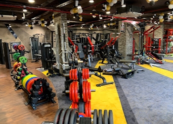 Metro-sports-the-fitness-store-Gym-equipment-stores-Chandigarh-Chandigarh-2