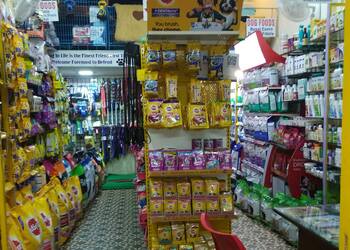 Miracle-paws-the-pets-world-Pet-stores-Kasaba-bawada-kolhapur-Maharashtra-2