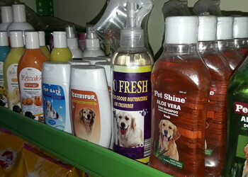 Modern-pet-care-Pet-stores-Palayamkottai-tirunelveli-Tamil-nadu-3