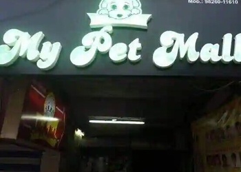 My-pet-mall-Pet-stores-Rajendra-nagar-indore-Madhya-pradesh-1