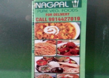 Nagpal-pure-veg-foods-Pure-vegetarian-restaurants-Sector-22-chandigarh-Chandigarh-1