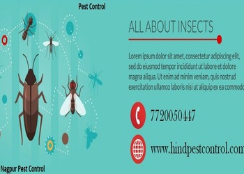 Nagpur-pest-control-Pest-control-services-Ajni-nagpur-Maharashtra-1