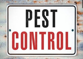 Neelam-pest-control-services-Pest-control-services-Chakrata-Uttarakhand-1