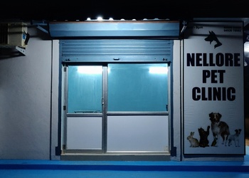 Nellore-pet-clinic-Veterinary-hospitals-Nellore-Andhra-pradesh-1