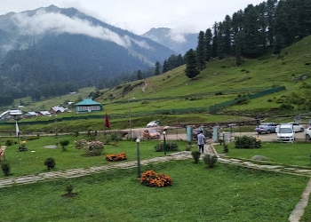 Nesa-tours-and-travels-Travel-agents-Jawahar-nagar-srinagar-Jammu-and-kashmir-2