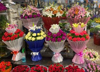 New-apna-florist-Flower-shops-Indore-Madhya-pradesh-3