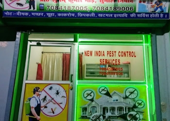 New-india-pest-control-service-Pest-control-services-Civil-lines-gorakhpur-Uttar-pradesh-1