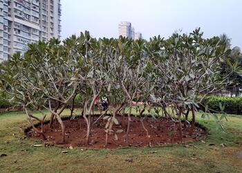 New-joggers-park-Public-parks-Borivali-mumbai-Maharashtra-3