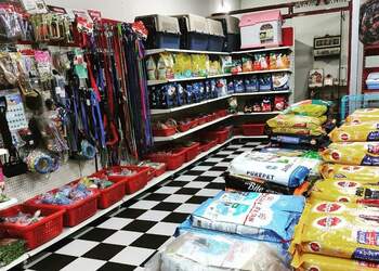 No1-pet-shop-Pet-stores-Coimbatore-junction-coimbatore-Tamil-nadu-2