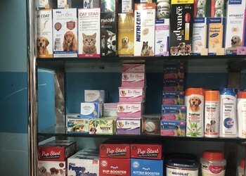 Noahz-pets-ark-Pet-stores-Technopark-thiruvananthapuram-Kerala-2