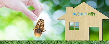 Noble-Pest-control-services-Kodambakkam-chennai-Tamil-nadu-2