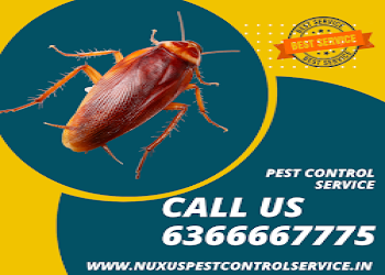 Nuxus-pest-control-services-Pest-control-services-Bangalore-Karnataka-2