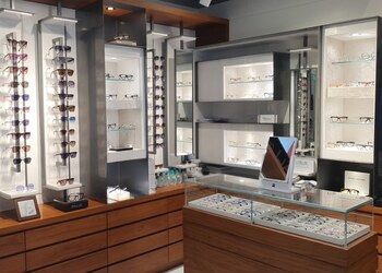 Occhiali-opticals-Opticals-Sector-17-chandigarh-Chandigarh-3