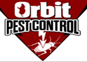 Orbit-pest-control-pvt-ltd-Pest-control-services-Aminabad-lucknow-Uttar-pradesh-1