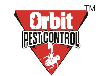 Orbit-pest-control-pvt-ltd-Pest-control-services-Patna-junction-patna-Bihar-1