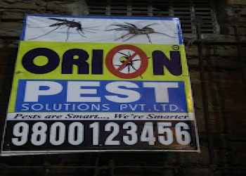 Orion-pest-solutions-pvt-ltd-Pest-control-services-Bara-bazar-kolkata-West-bengal-2